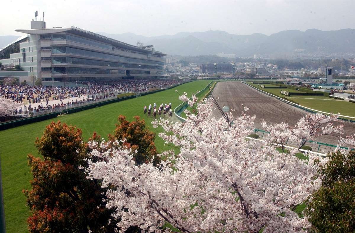 🐎 한신 경마장 이미지 21